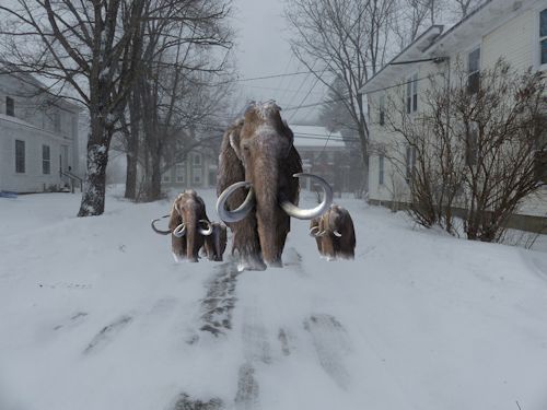 mammoths in Richmond