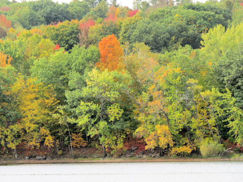 Androscoggin River area