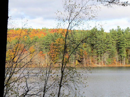 looking across Lake Auburn