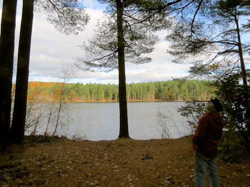 Lake Auburn