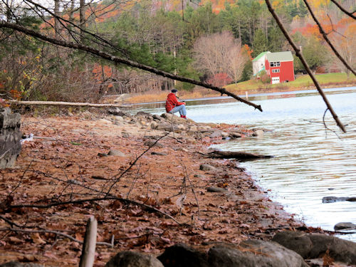 Charlie on little beach on Lake Auburn