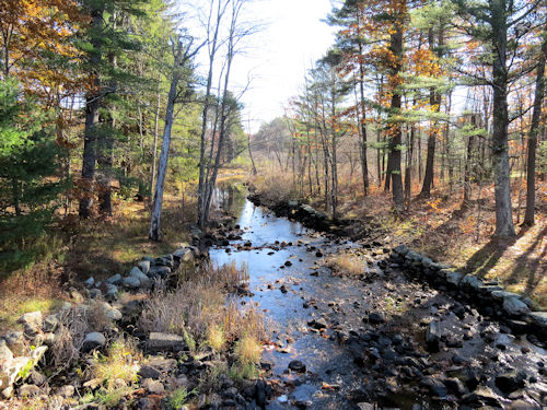 water below the dam