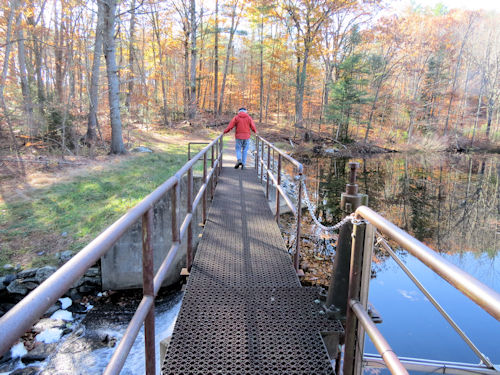 Charlie crossing dam above Lake Auburn