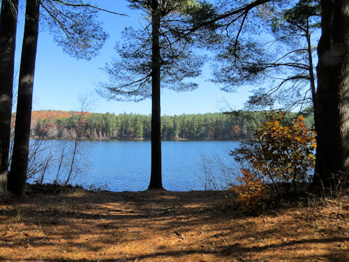 Lake Auburn area