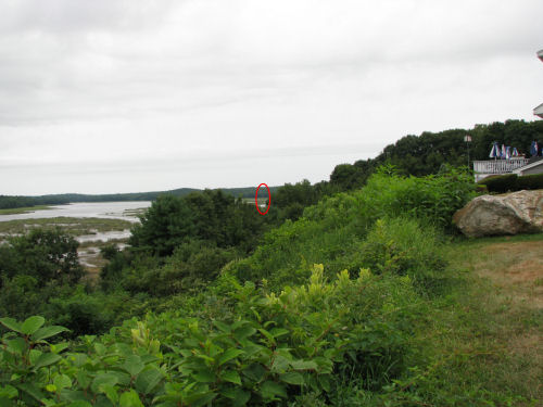 view toward eagle nest