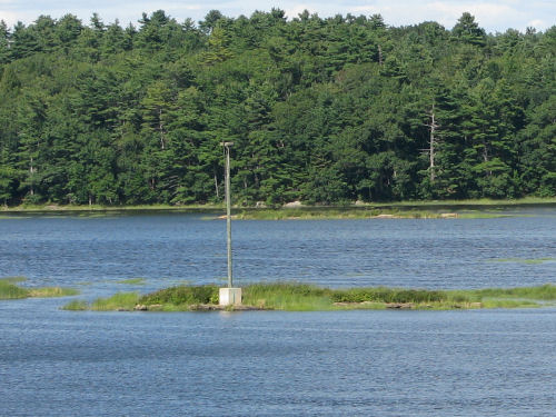 eagle nest