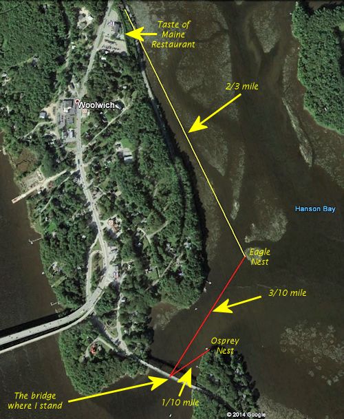 Google Earth view of the Sasanoa nests