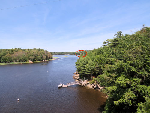 Sasanoa River osprey nest