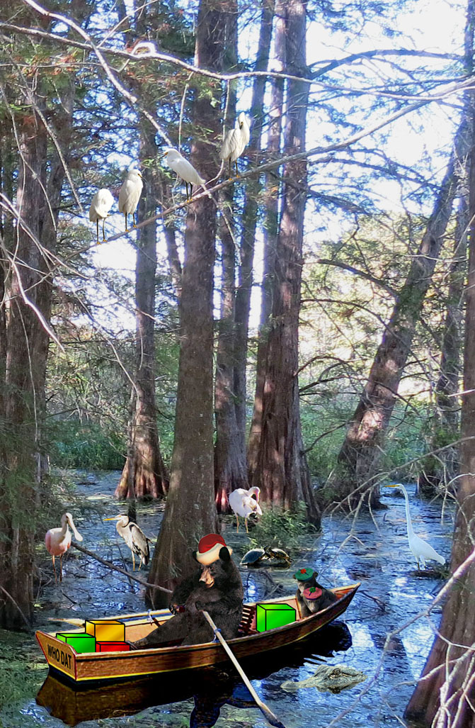 cypress swamp full of birds and animals