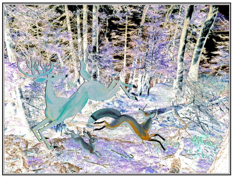Sacred Grove designed by Charlie Ipcar 2019