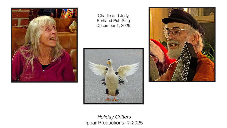 Nine Magpie ducks walking down Tallman Street