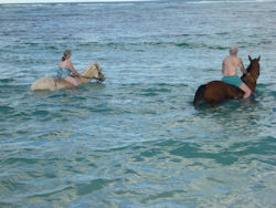 horseback ridiing in St Martin