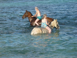 horseback ridiing in St Martin