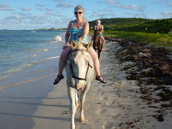 Back on shore after almost swimming with the horses