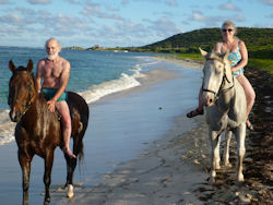 horseback riding on St Martin