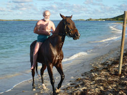 horseback riding on St Martin