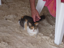 Charlie saying hello to a visitor