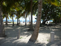 view of galion bay beach from the parking area