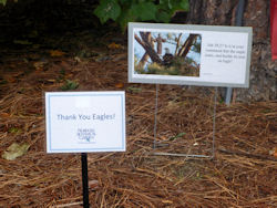 signs beside the tree