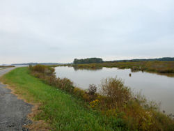 Blackwater National Wildlife Refuge