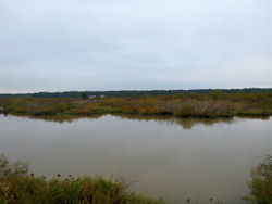 Blackwater National Wildlife Refuge