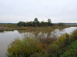 Blackwater National Wildlife Refuge