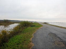Blackwater National Wildlife Refuge