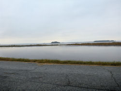 Blackwater National Wildlife Refuge
