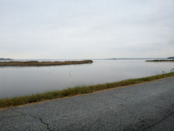 Blackwater National Wildlife Refuge