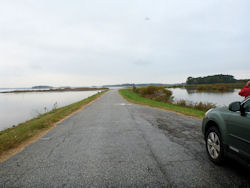 Blackwater National Wildlife Refuge