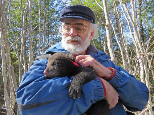 Charlie with cub