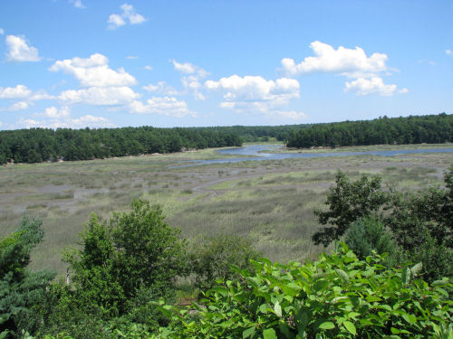 marsh
