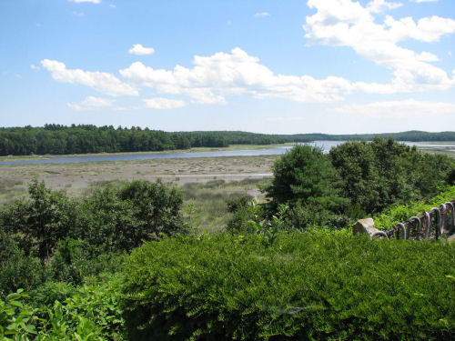 marsh