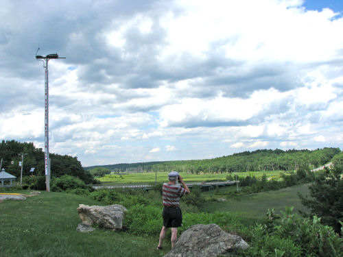 marsh
