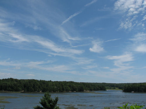 marsh