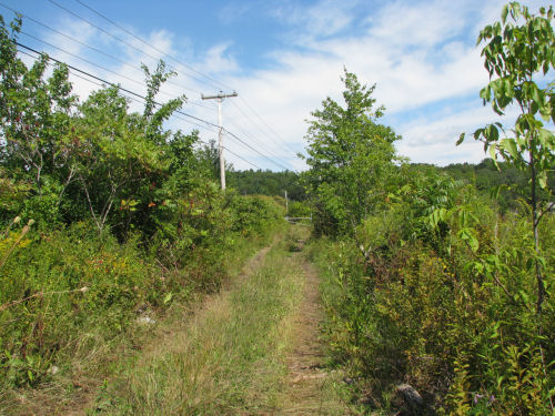 path back to car