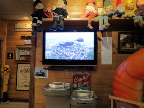 monitor in the lobby