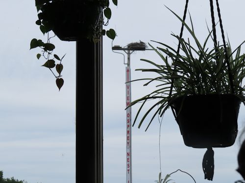 view from our table at the Taste of Maine