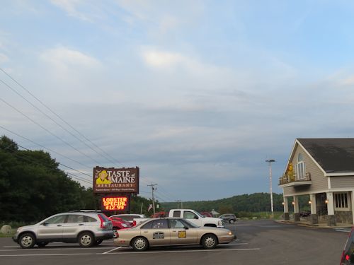 osprey at the Taste of Maine Restaurant