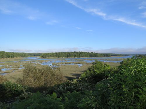 Taste of Maine