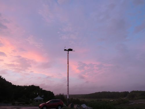 sunset at Taste of Maine