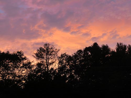 sunset at Taste of Maine