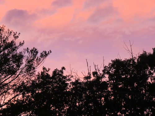sunset at Taste of Maine