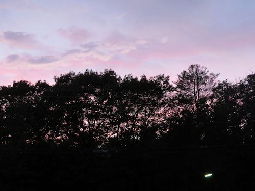 sunset at Taste of Maine