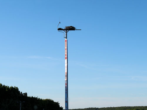 osprey nest at Taste of Maine