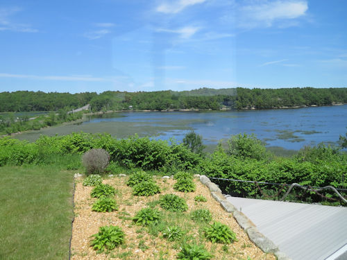 view from Taste of Maine