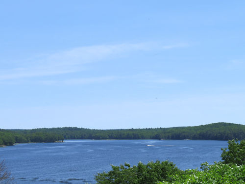view from Taste of Maine