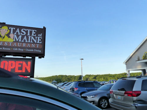 osprey at the Taste of Maine