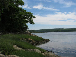 eagle nest at a distance