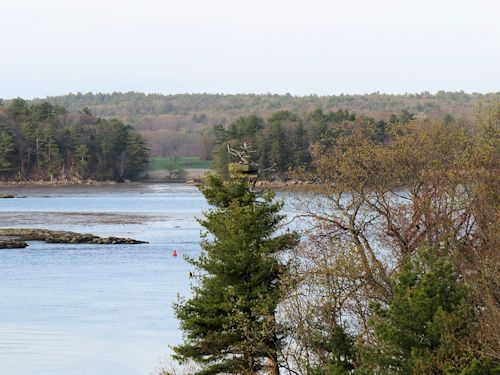 the osprey nest